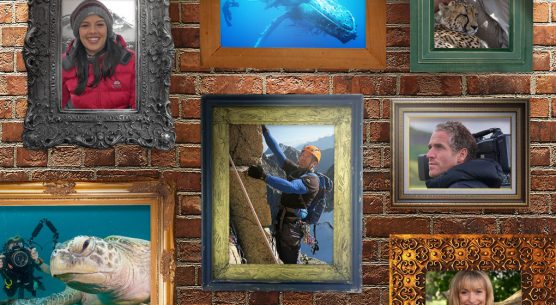 Jo Sarsby Management